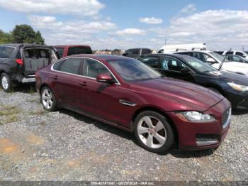  Salvage Jaguar XF