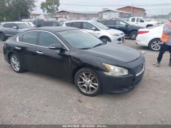  Salvage Nissan Maxima