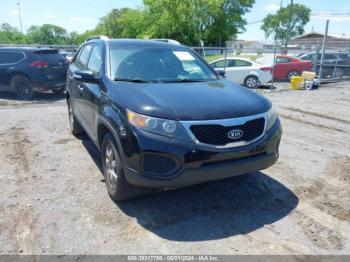  Salvage Kia Sorento