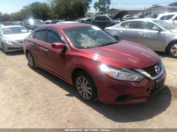  Salvage Nissan Altima