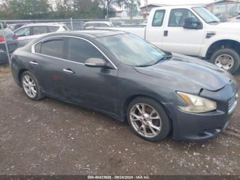  Salvage Nissan Maxima