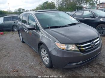  Salvage Honda Odyssey