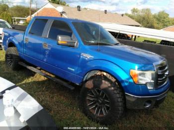  Salvage Ford F-150