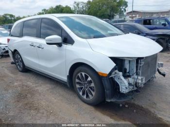  Salvage Honda Odyssey