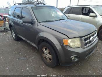  Salvage Ford Escape