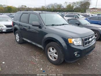  Salvage Ford Escape