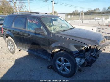  Salvage Ford Escape