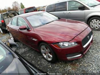  Salvage Jaguar XF