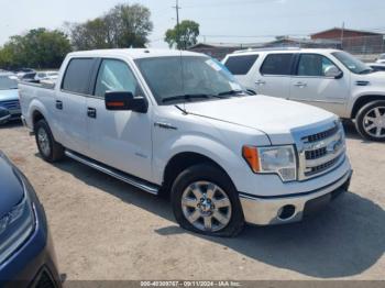  Salvage Ford F-150