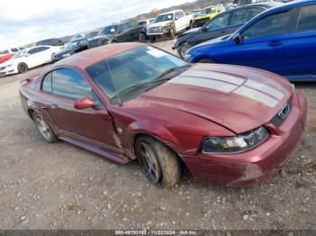  Salvage Ford Mustang