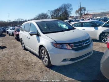  Salvage Honda Odyssey