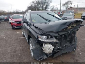  Salvage Lexus RX