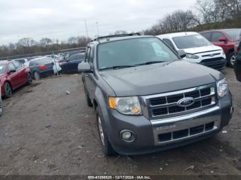  Salvage Ford Escape