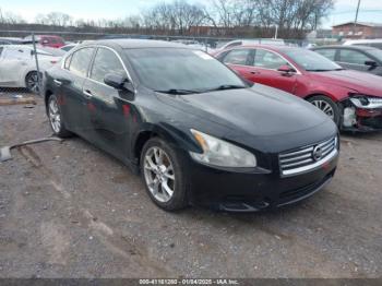  Salvage Nissan Maxima