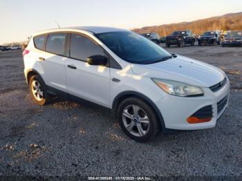  Salvage Ford Escape