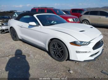  Salvage Ford Mustang