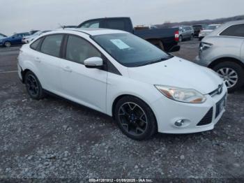  Salvage Ford Focus