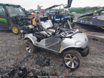  Salvage Evolution Golf Cart