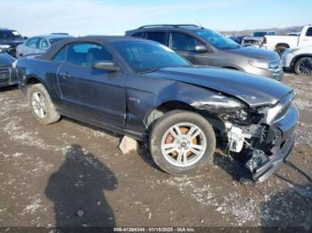  Salvage Ford Mustang