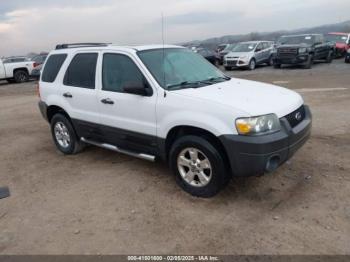  Salvage Ford Escape