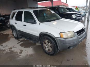  Salvage Ford Escape