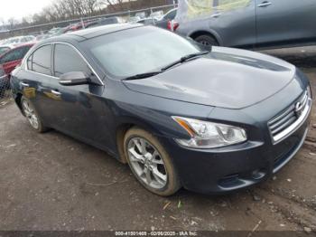  Salvage Nissan Maxima