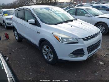  Salvage Ford Escape