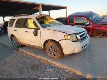  Salvage Ford Escape