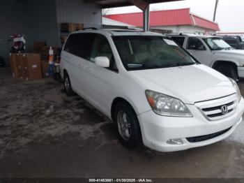  Salvage Honda Odyssey