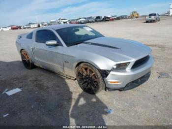  Salvage Ford Mustang