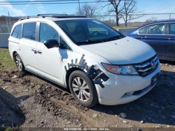  Salvage Honda Odyssey