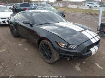  Salvage Ford Shelby Gt350