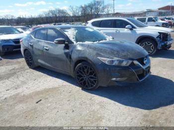  Salvage Nissan Maxima