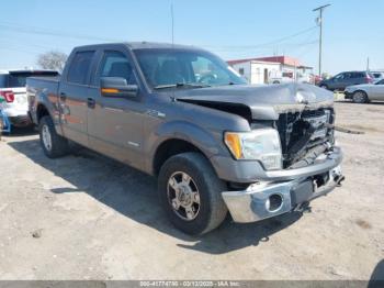  Salvage Ford F-150