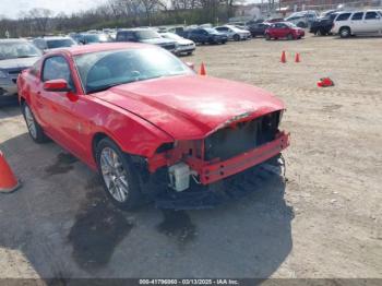  Salvage Ford Mustang