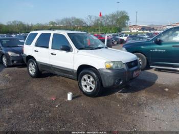  Salvage Ford Escape