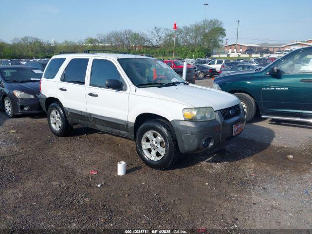  Salvage Ford Escape
