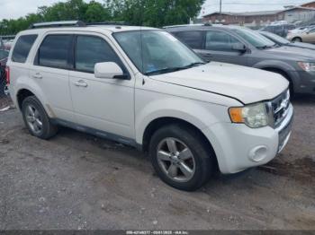  Salvage Ford Escape