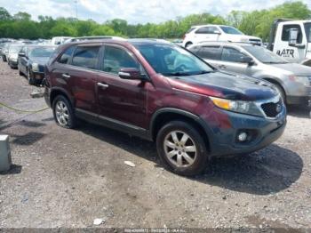  Salvage Kia Sorento