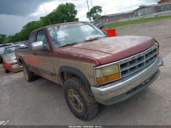  Salvage Dodge Dakota