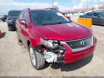  Salvage Lexus RX