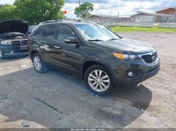  Salvage Kia Sorento