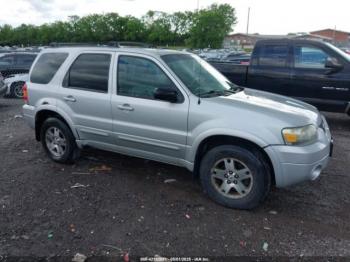  Salvage Ford Escape