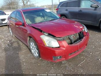  Salvage Nissan Maxima