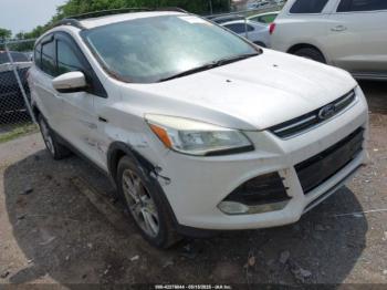  Salvage Ford Escape