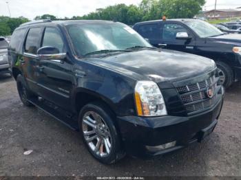  Salvage Cadillac Escalade