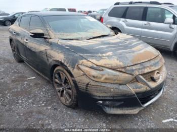  Salvage Nissan Maxima