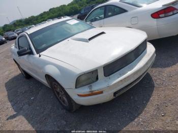  Salvage Ford Mustang