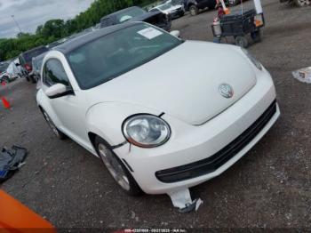 Salvage Volkswagen Beetle