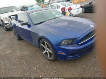  Salvage Ford Mustang
